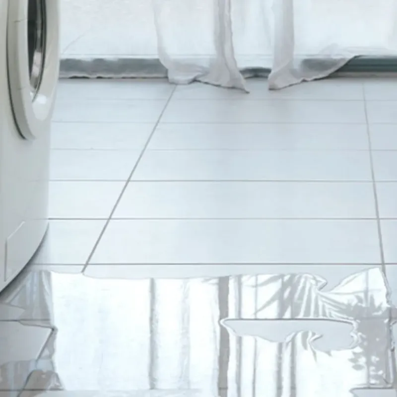 Appliance Leak Cleanup in Russellville, AL